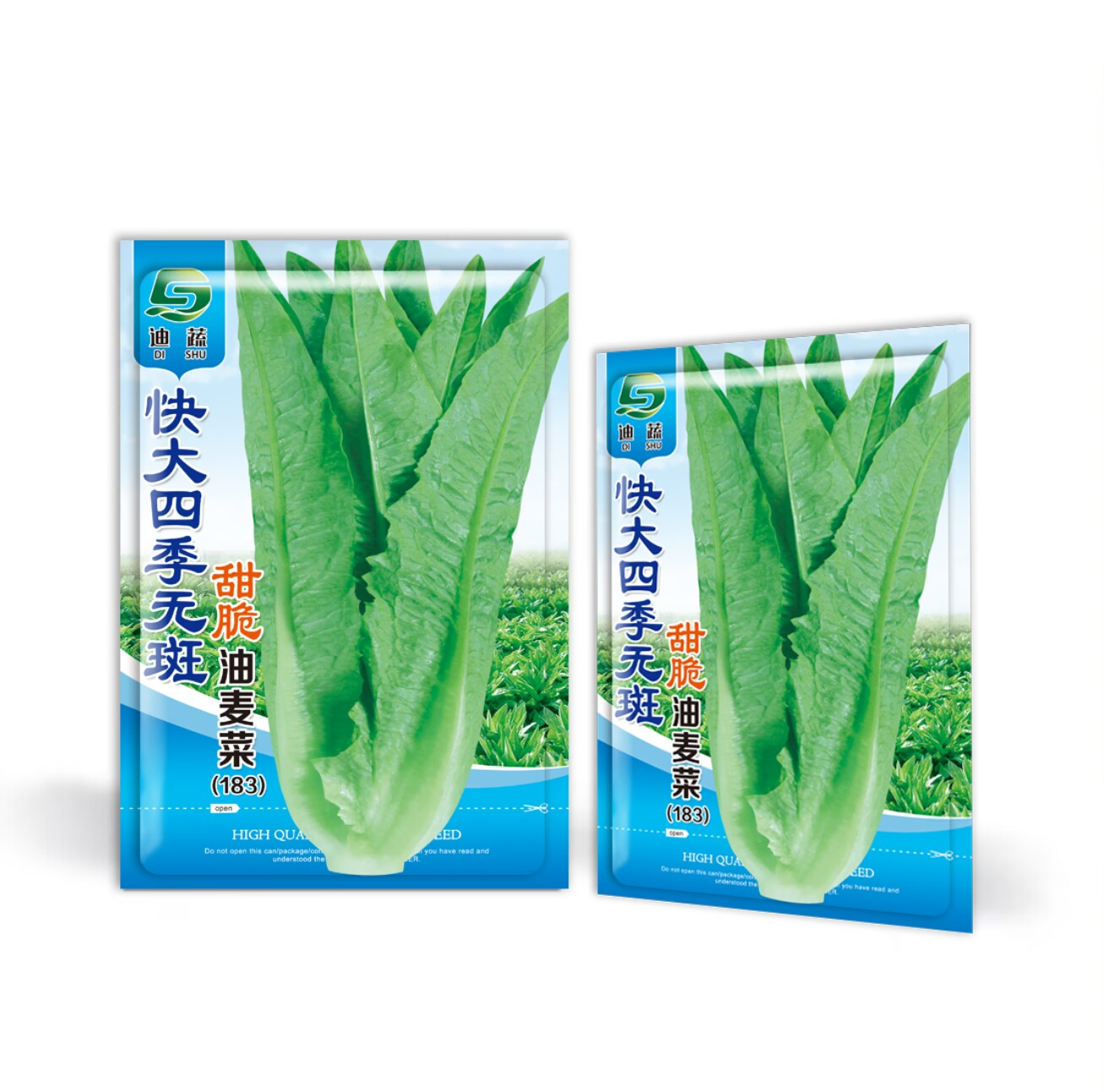 抗热四季无斑甜脆油麦菜四季可种甜脆油麦菜种子适合庭院盆栽种植