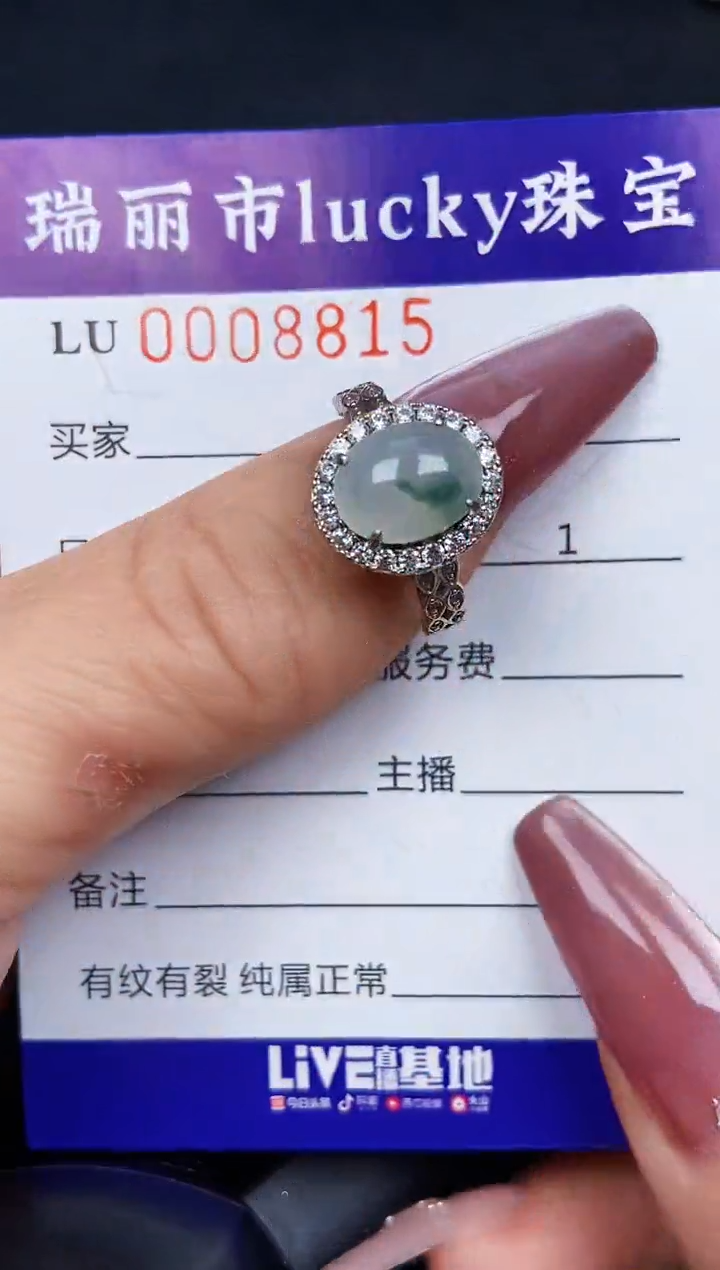 翡翠银S925镶嵌颈饰8815