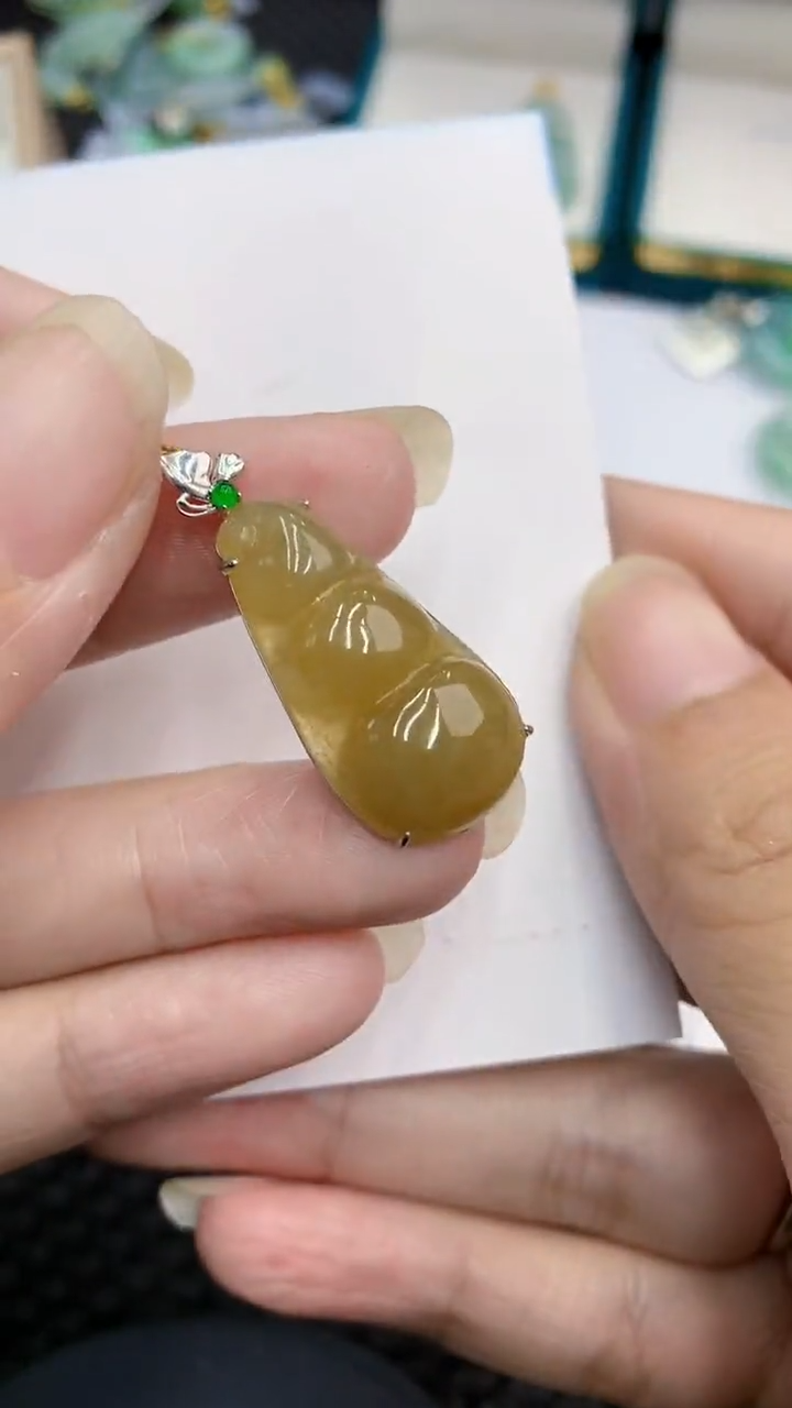【闪购商品】翡翠颈饰18K金镶嵌            8
