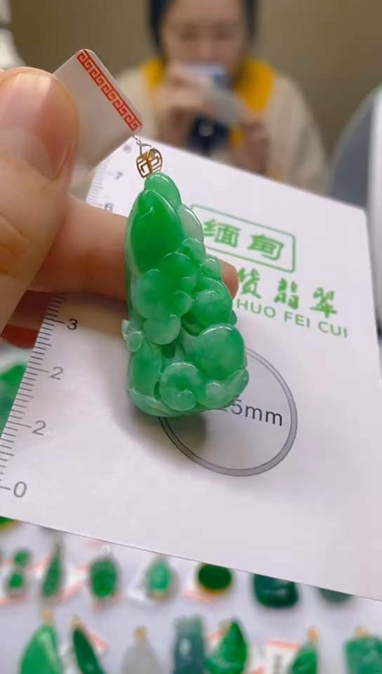 【闪购商品】翡翠颈饰18K金镶嵌新号开播，全场乱卖