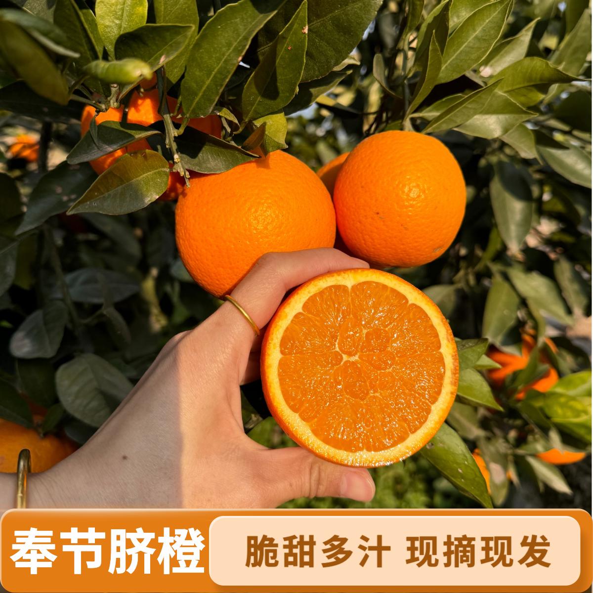 正宗奉节脐橙新鲜现摘现发5/10/20斤脆甜爆汁橙子孕妇水果细腻鲜