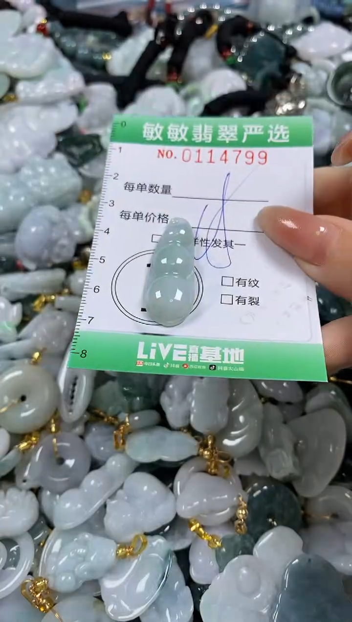 【闪购商品】翡翠颈饰未镶嵌闪购0114799