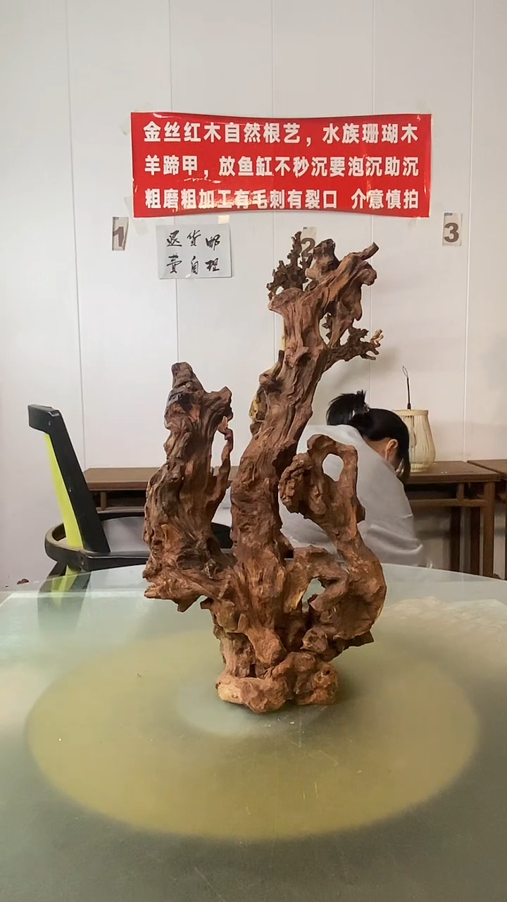 木学*金丝红木 羊蹄甲