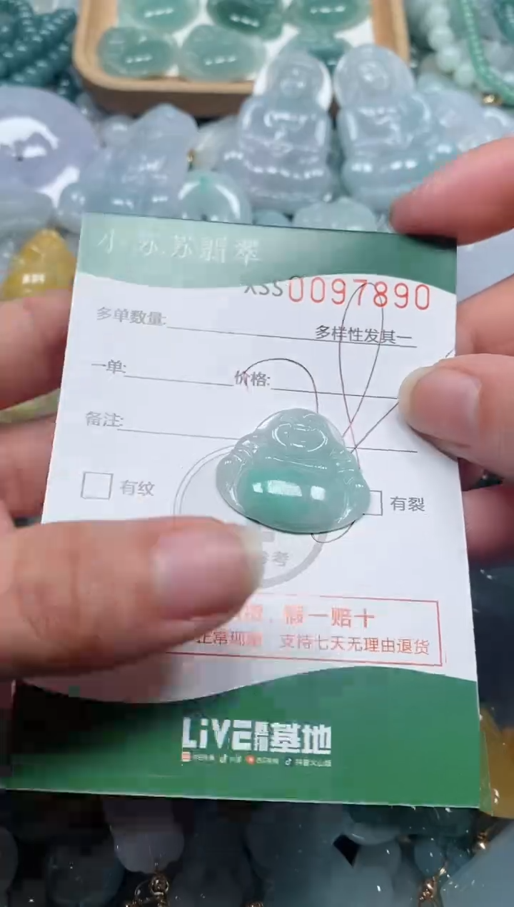 【闪购商品】翡翠颈饰未镶嵌闪购商品0097890