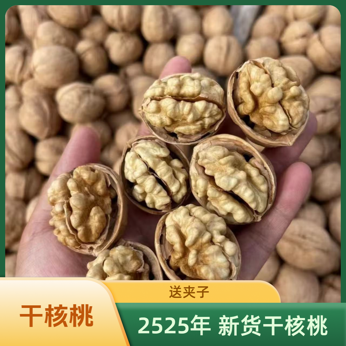 云南2025 新货 干核桃 送核桃夹子