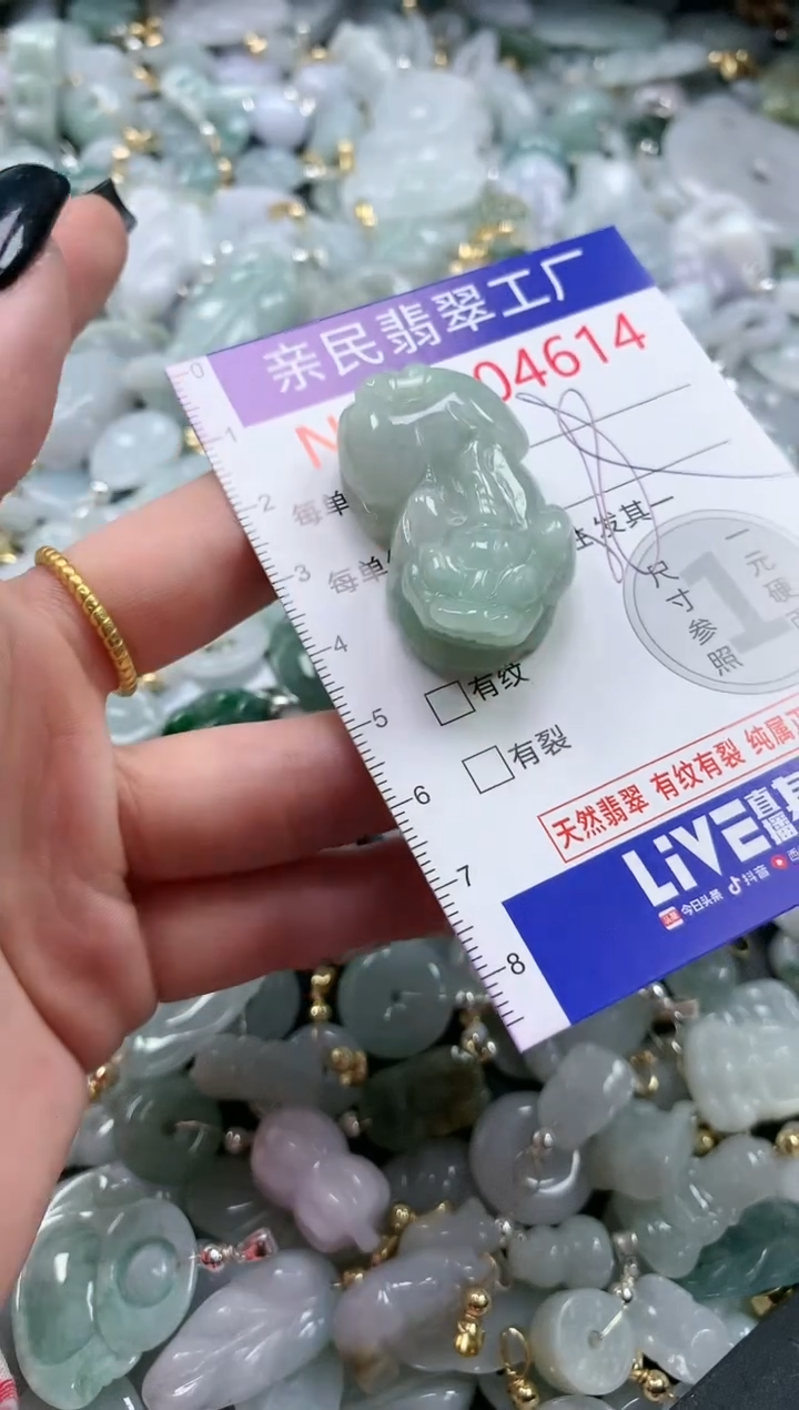 翡翠未镶嵌吊坠(不含链)4614
