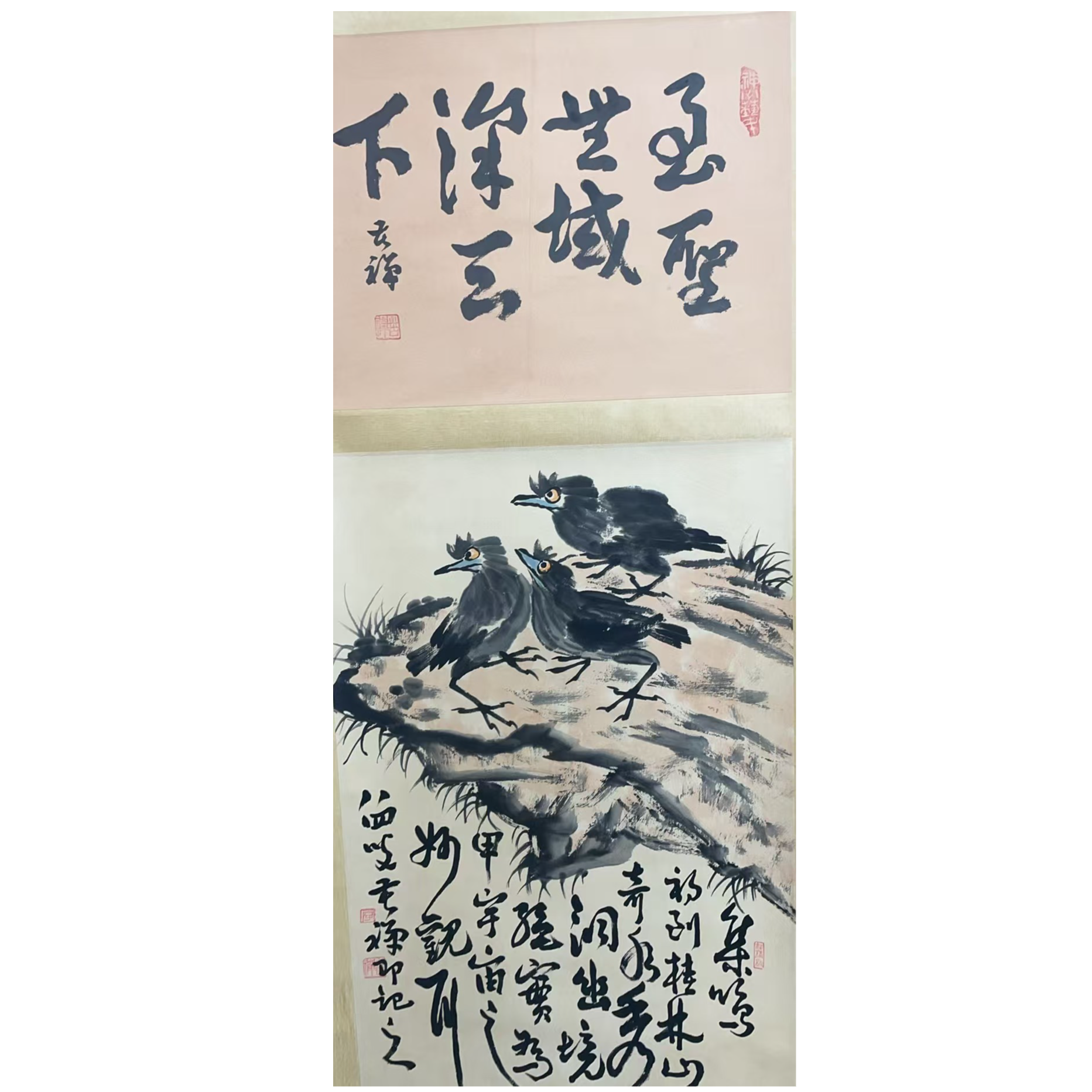 苦蝉 款 绘画雏鹰立轴105*45平尺4.2