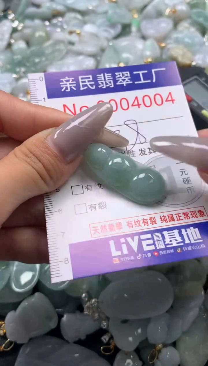 颈饰未镶嵌翡翠4004