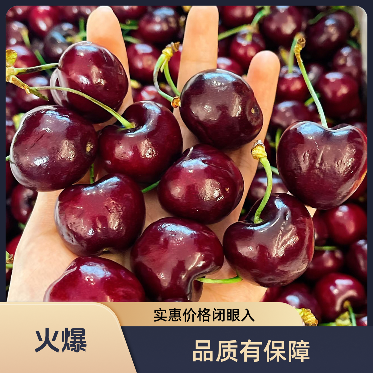 3JD智利空运车厘子五斤礼盒装2500g净重内附果径卡景洪到家3J新鲜应季水果桑提娜智利