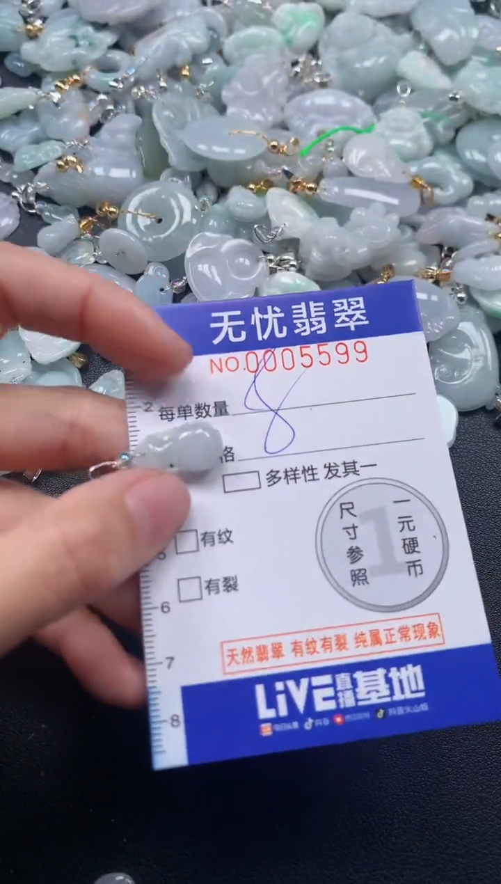 颈饰未镶嵌翡翠5599