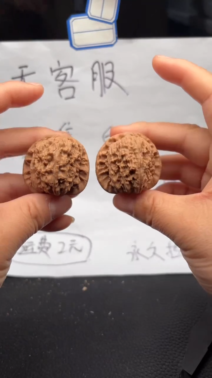 把件文玩核桃662白狮子