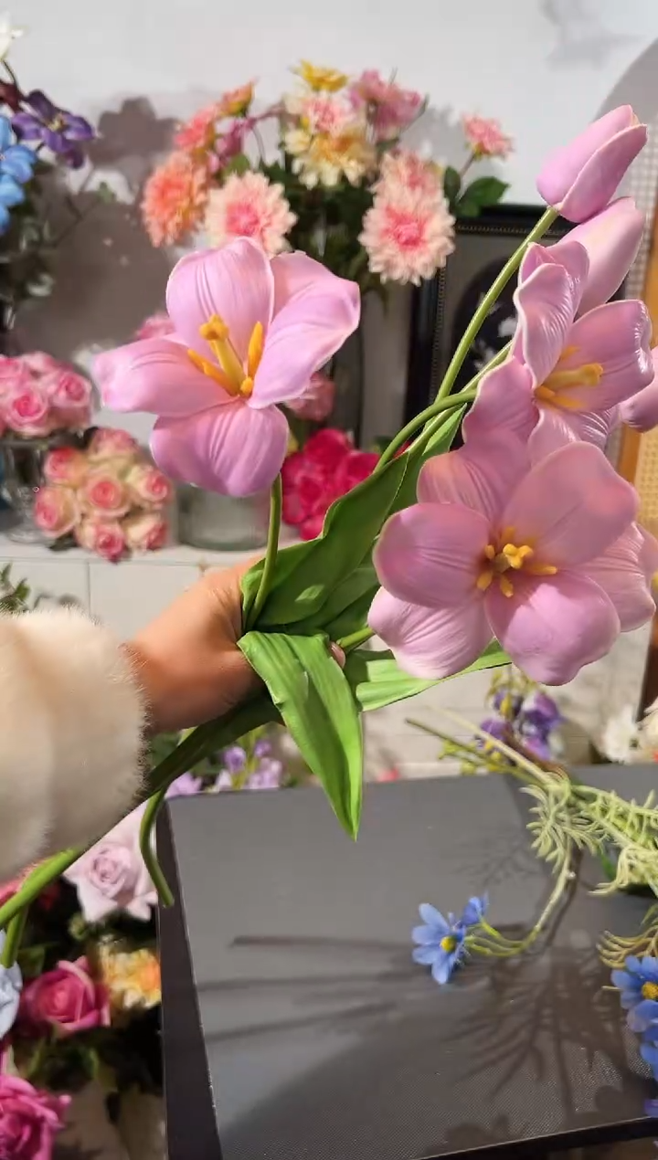 3枝紫色2头布朗尼