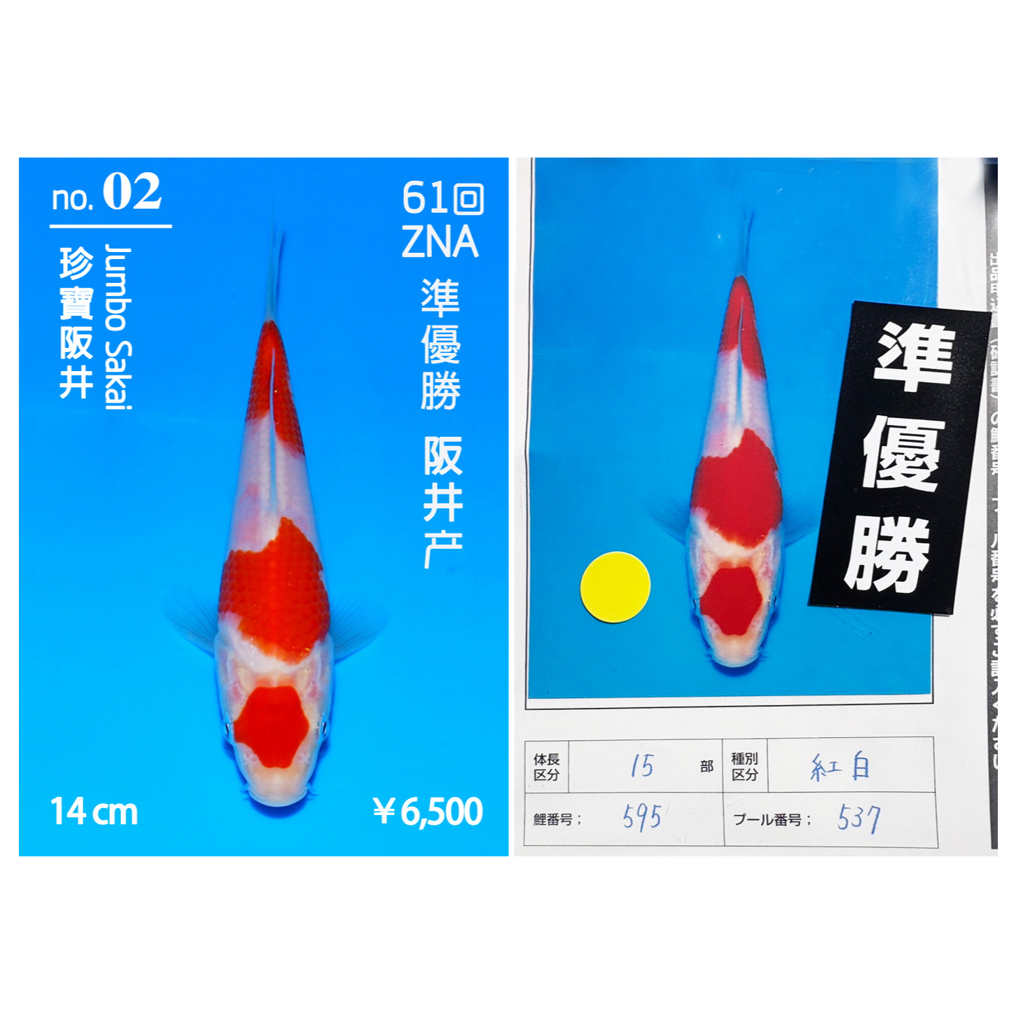 【11.18直播】ZNA获奖锦鲤1条不包邮