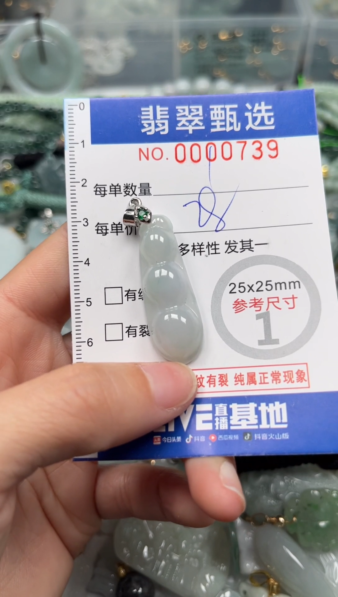 【闪购商品】翡翠颈饰未镶嵌00..0739