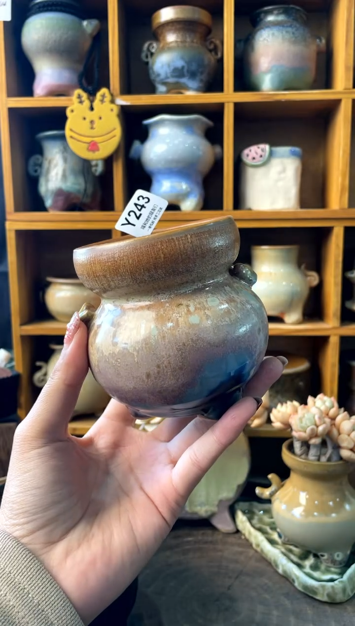 243内口6.5【多肉花盆多肉盆】