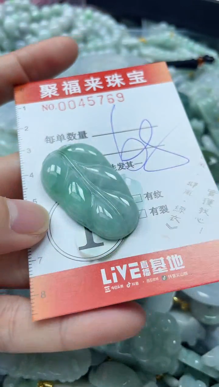 【闪购商品】翡翠颈饰未镶嵌闪购0045769