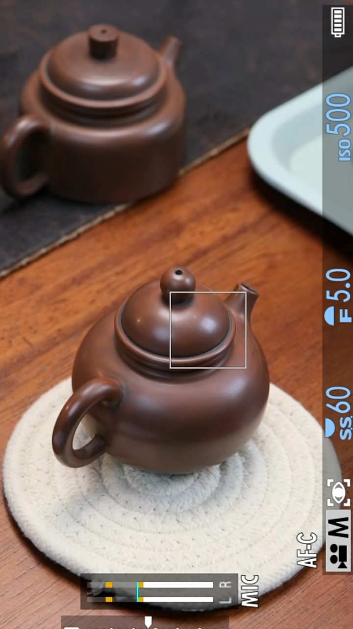 皓哥严选 坭兴陶 容天壶