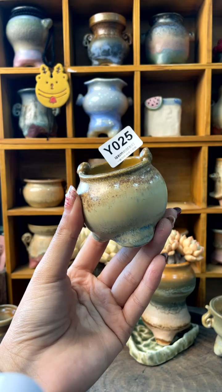 025内口4【多肉花盆多肉盆】