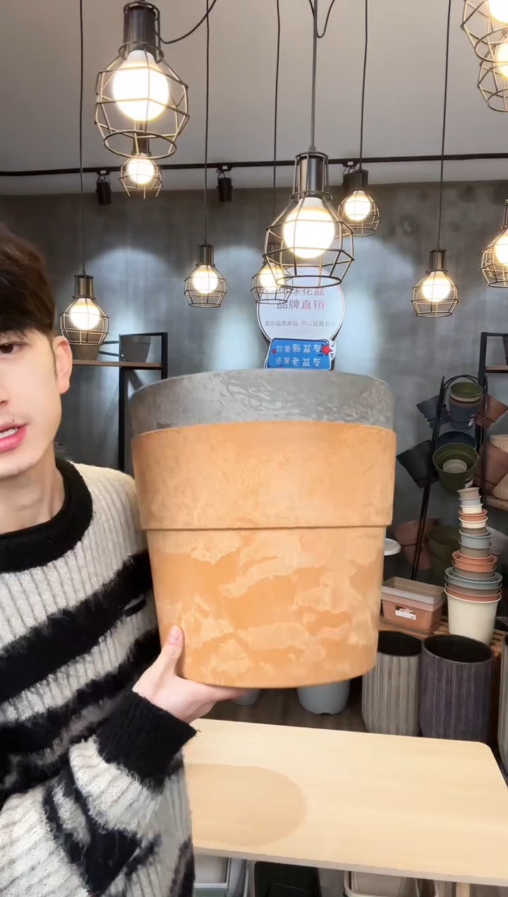 【闪购商品】塑料木塑345圆盆 混色2只装无托