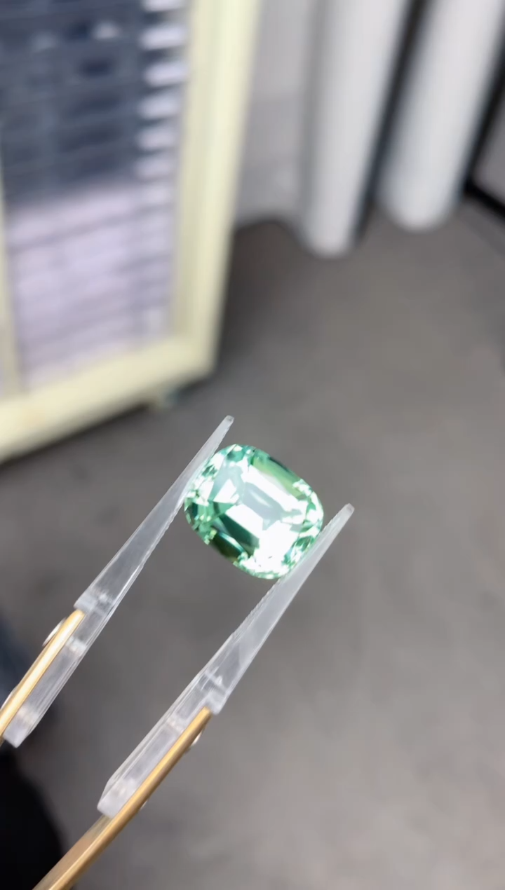【闪购商品】碧玺裸石未镶嵌9.5ct绿碧玺
