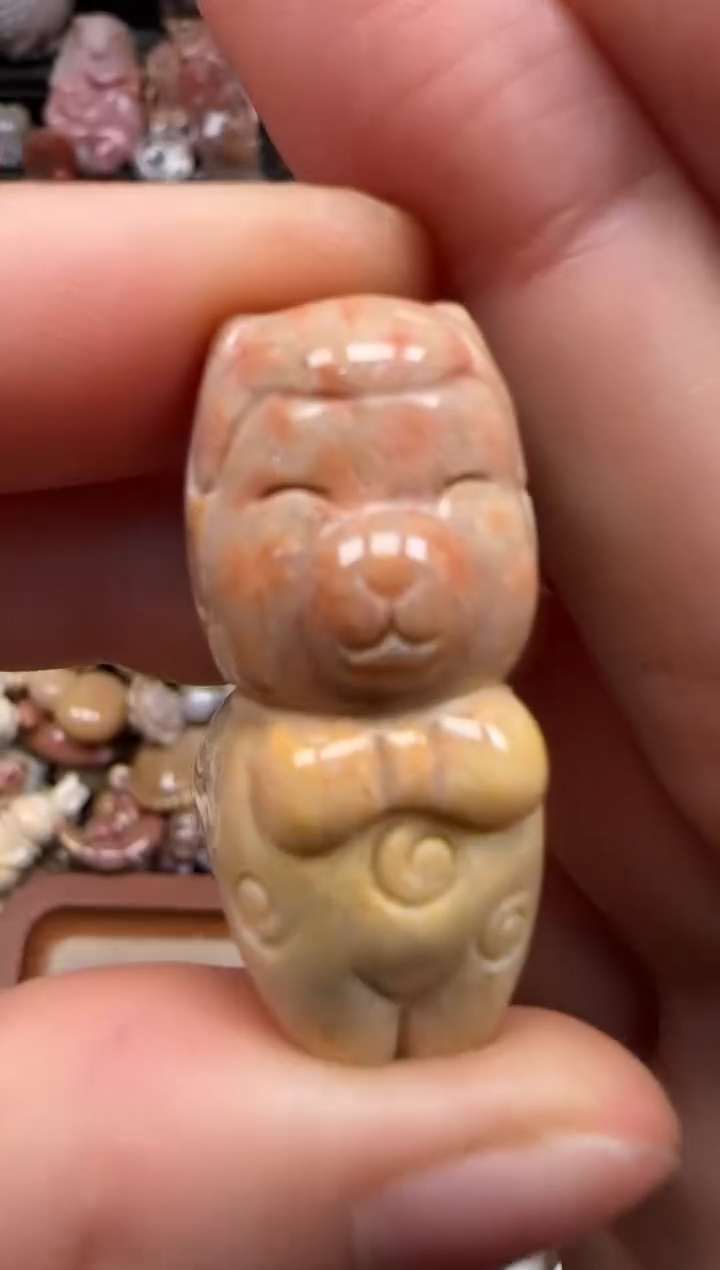 【闪购商品】硅化珊瑚（珊瑚玉）颈饰未镶嵌430