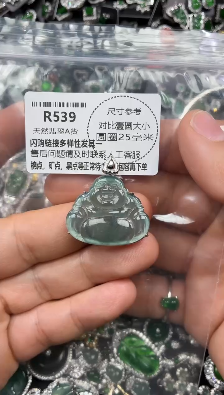 颈饰未镶嵌翡翠R539吊坠