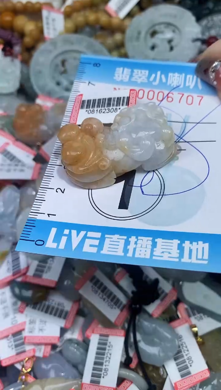 【闪购商品】翡翠颈饰未镶嵌闪购0006707