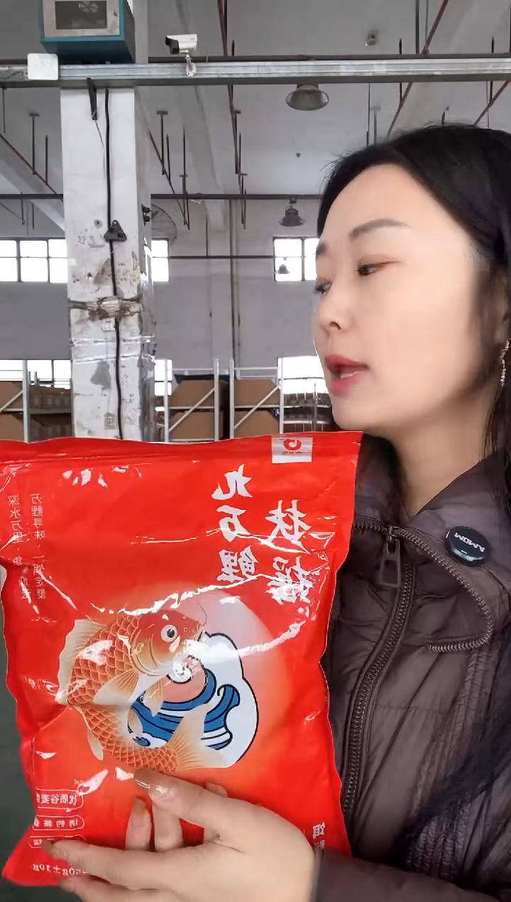 宝飞龙扶摇饵料九万鲤950g