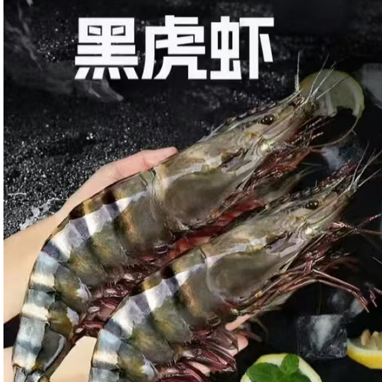 海捕大黑虎虾21-25规格 18到19厘米左右30只到36只左右活虾速冻1500g
