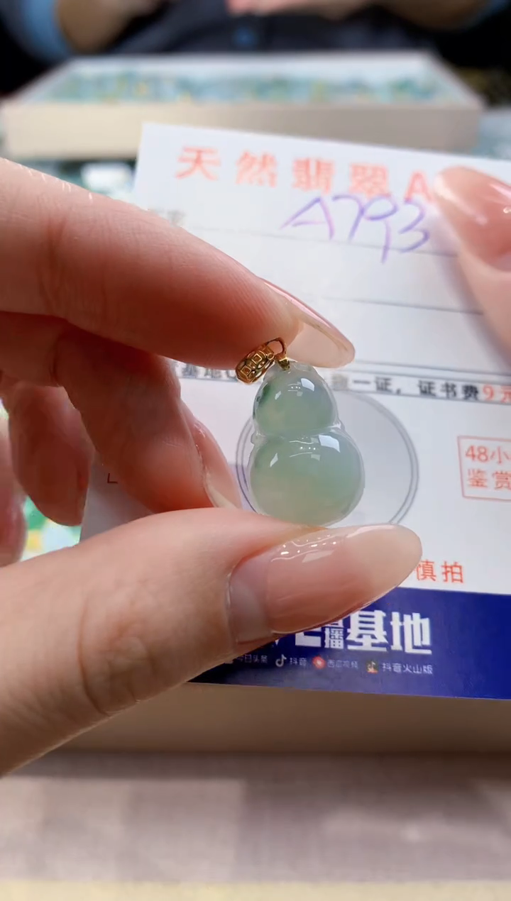 颈饰未镶嵌翡翠天然翡翠挂件  