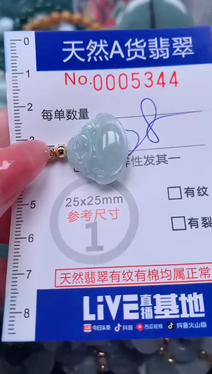 【闪购商品】翡翠颈饰未镶嵌00005344