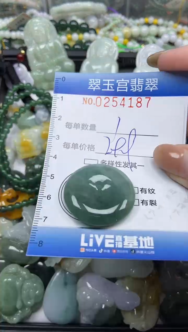 颈饰未镶嵌翡翠闪购C0254187