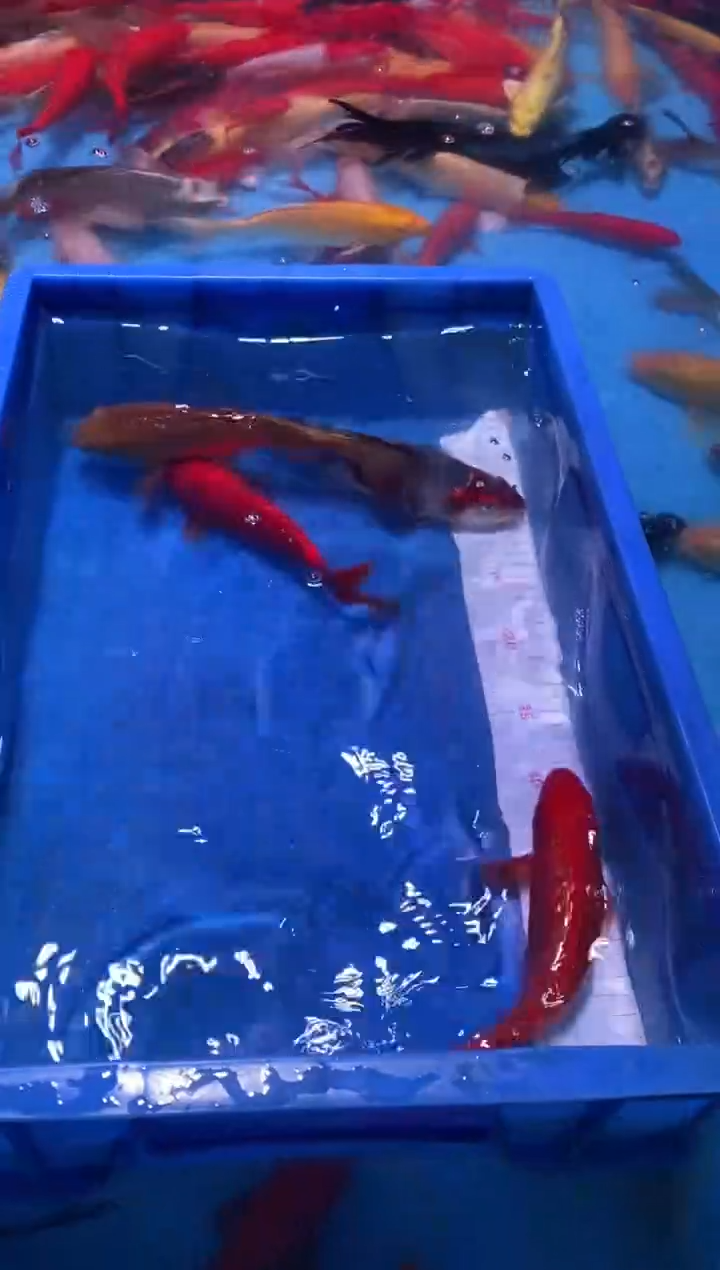 11111111111111111111111