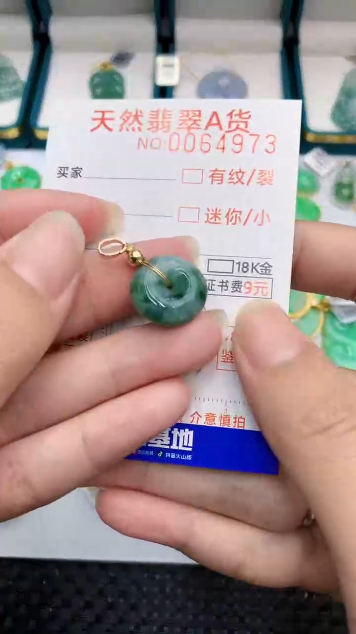 【闪购商品】翡翠颈饰未镶嵌            8