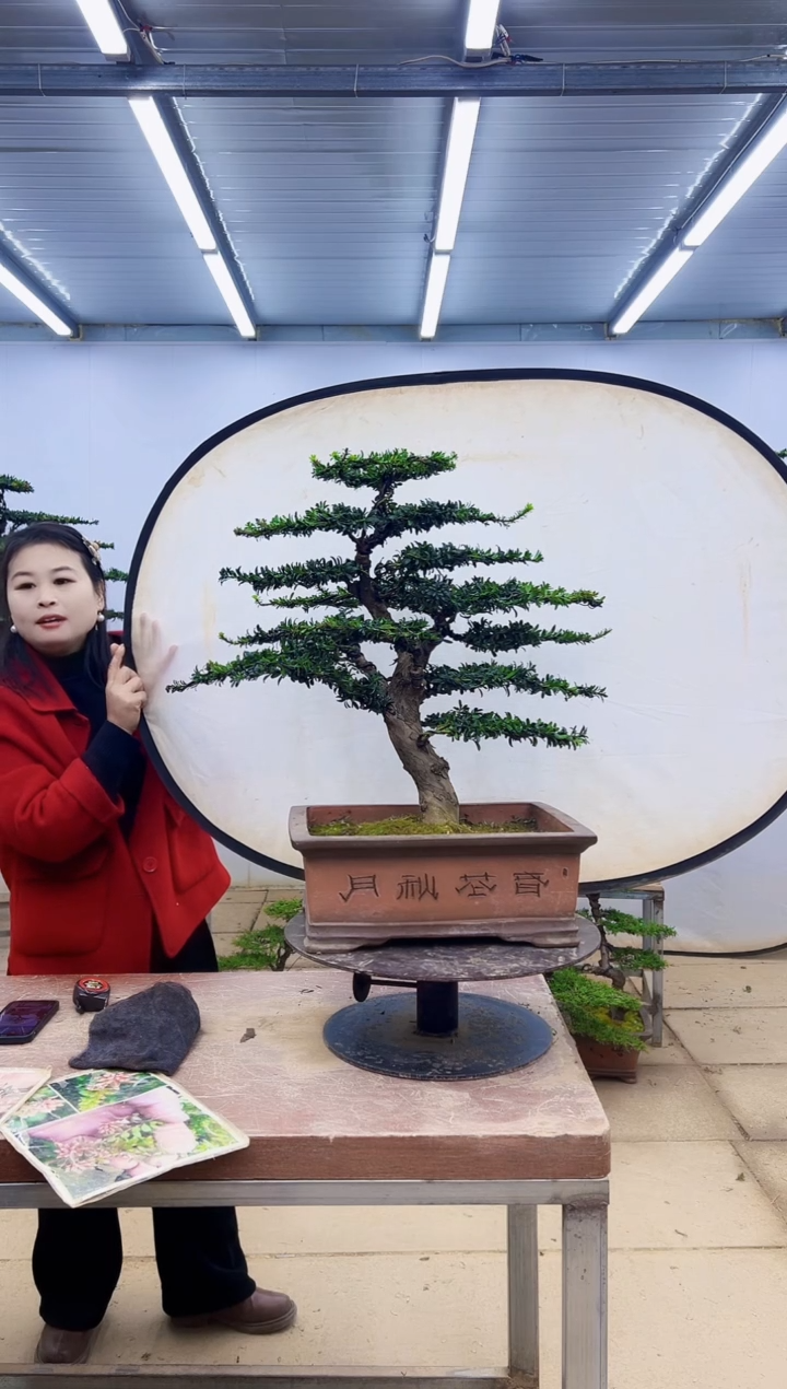 无花朵一物一拍，所见即所得