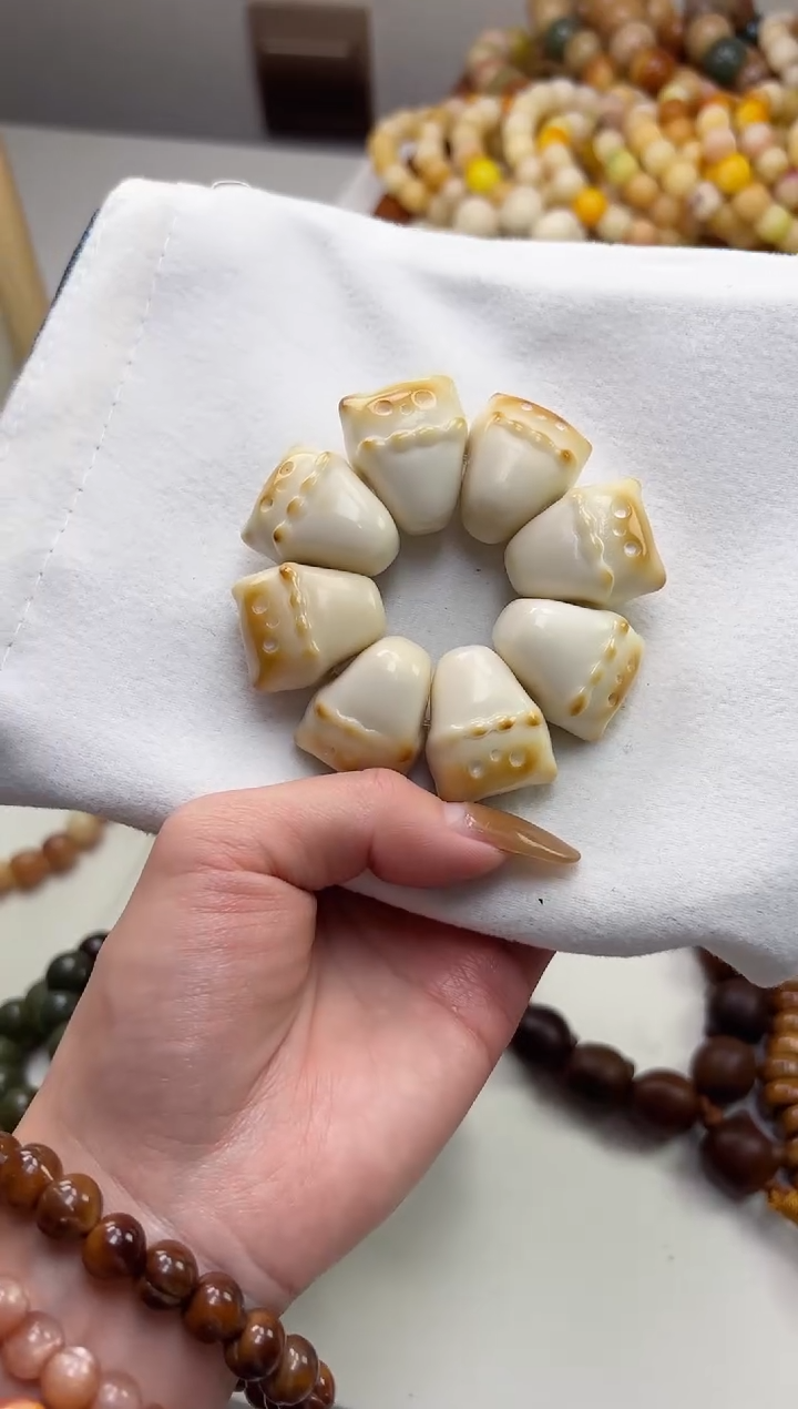 手串菩提根/象牙果象牙果蒜瓣猫25mm手捻