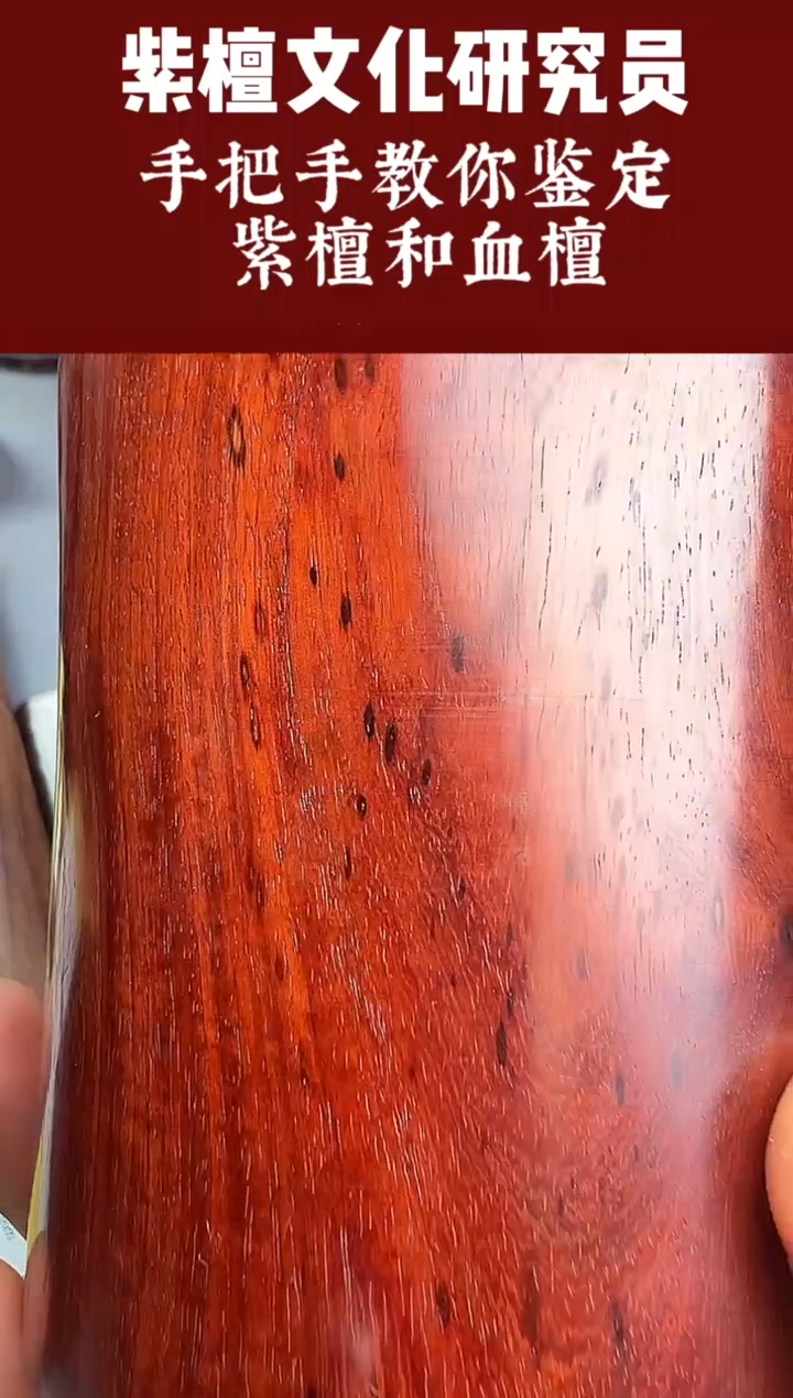 紫檀木类端景台赞比亚血檀小笔筒