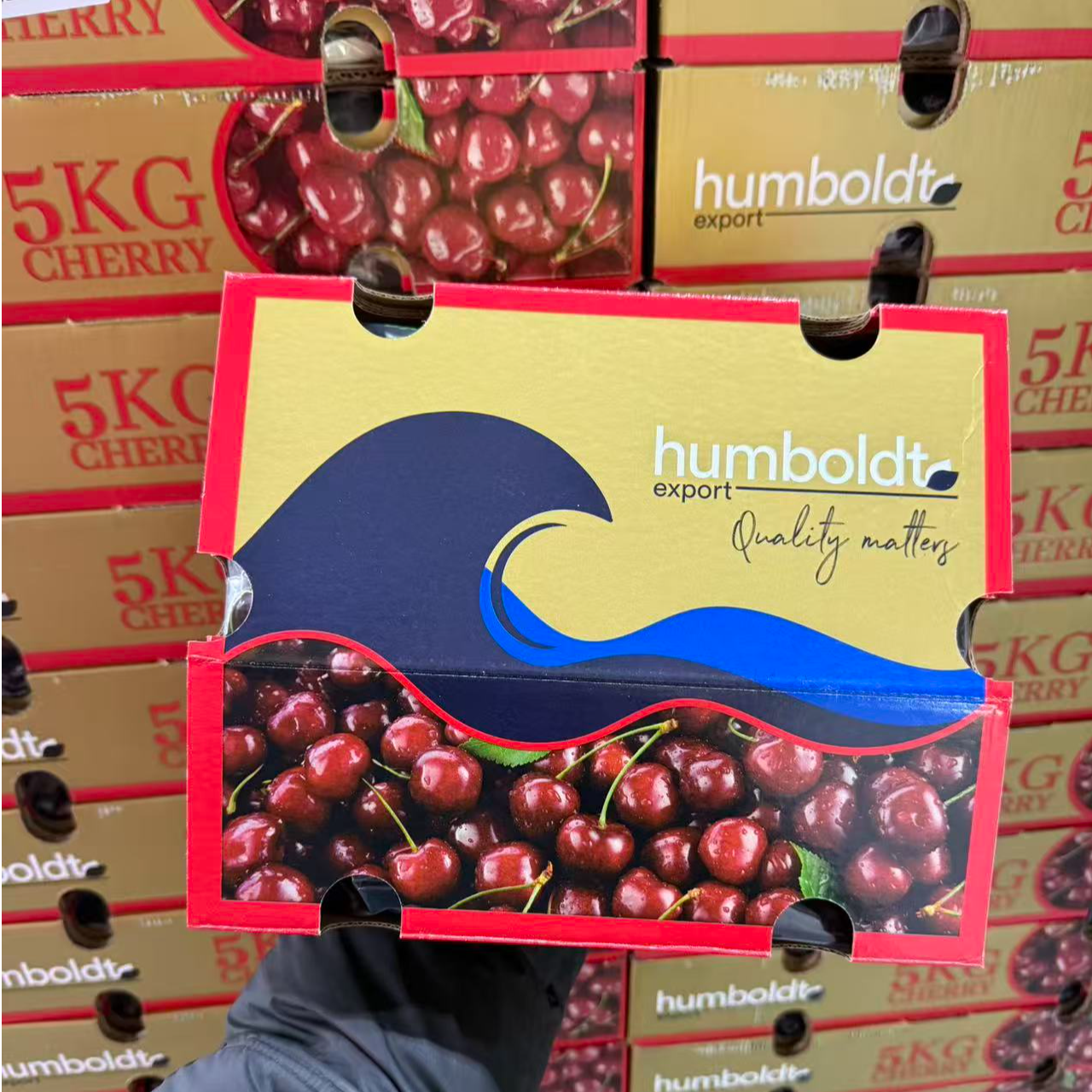 【洪堡3JD】 智利进口车厘子【Santina】 1.6- 5斤原箱 海运   包邮 内附果径卡桑提娜樱桃智利共和国