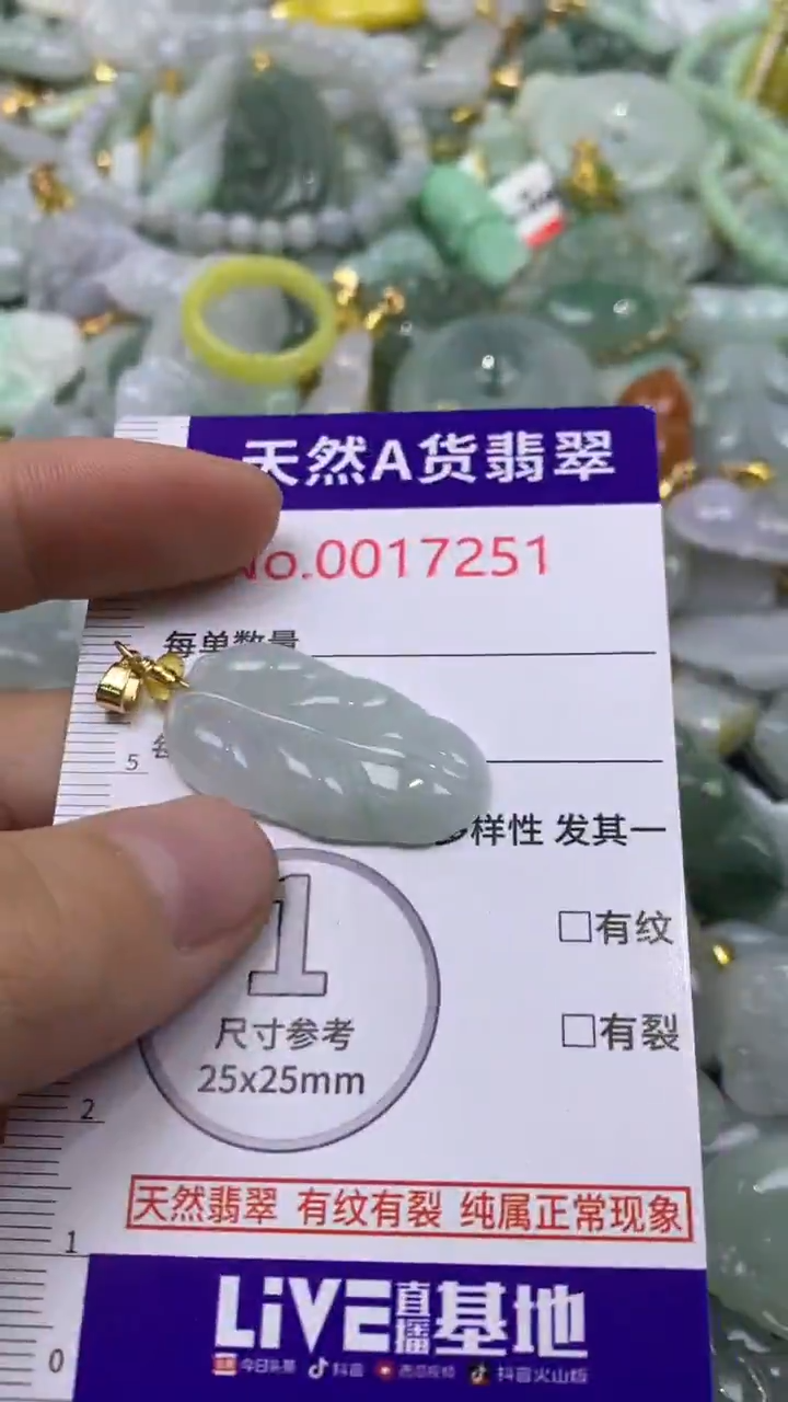 颈饰未镶嵌翡翠1