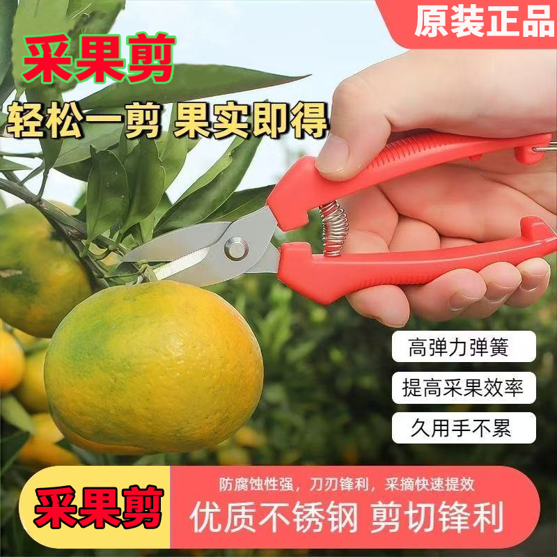 采果剪用于桔子葡萄等园艺专用剪花艺省力多功能修花绿化家用农用