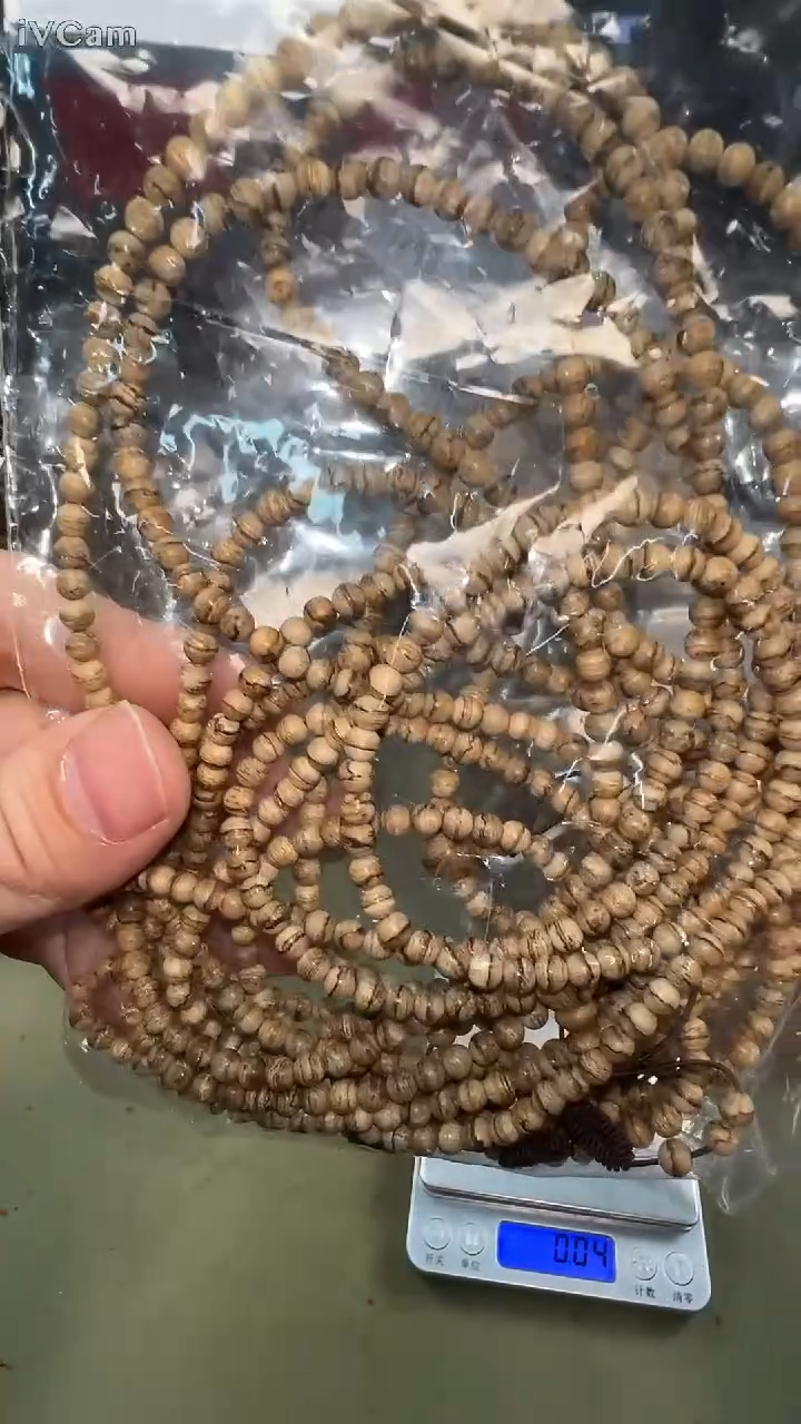 达拉干4mm念珠多样性发其一