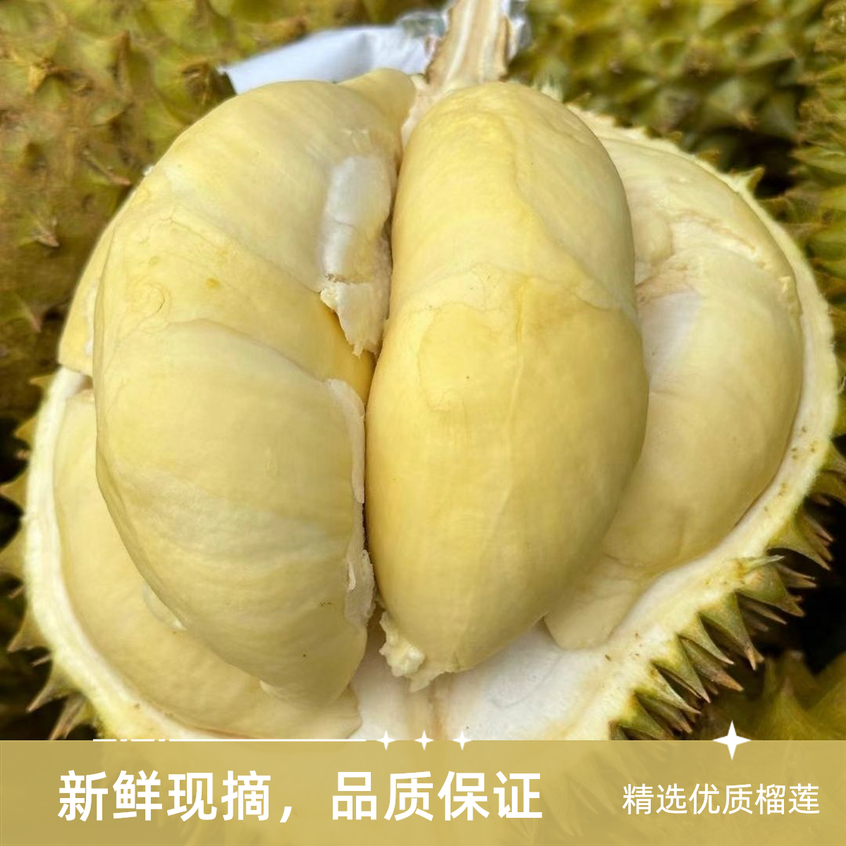 软糯香甜干尧榴莲，新鲜肉多核小带壳榴莲（约6斤）榴莲同城送干尧干尧