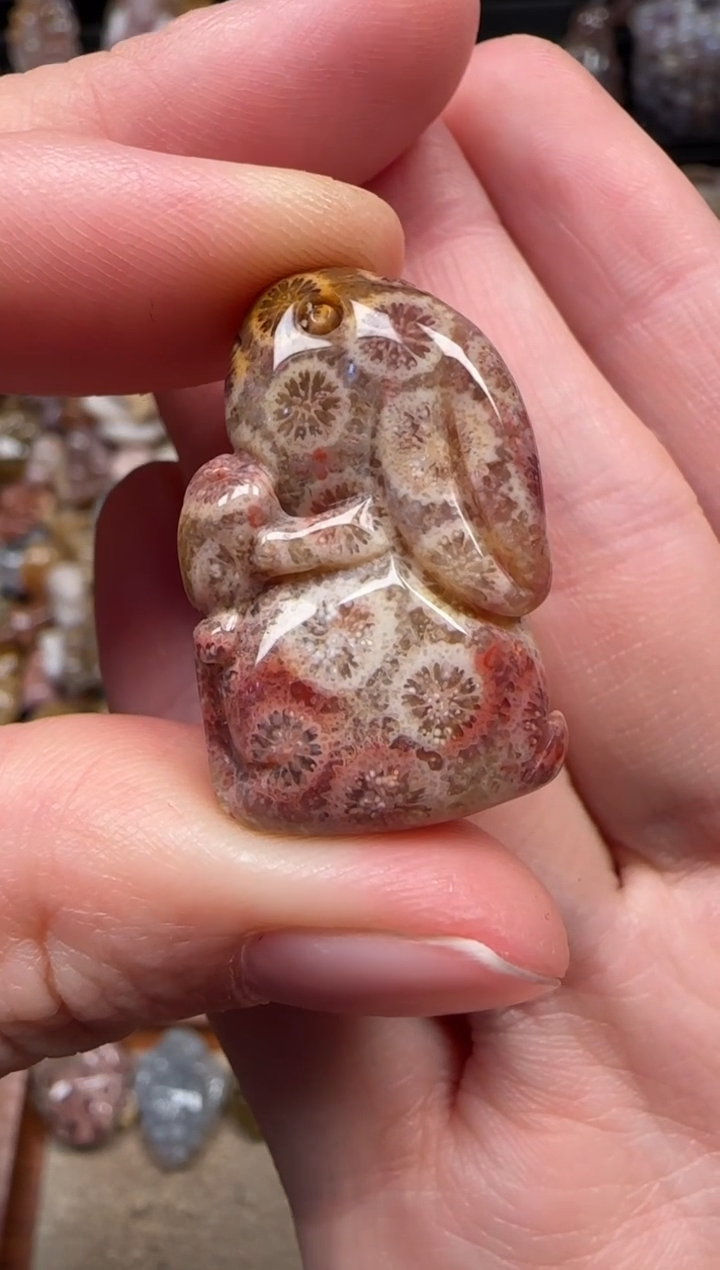 颈饰未镶嵌硅化珊瑚（珊瑚玉）677