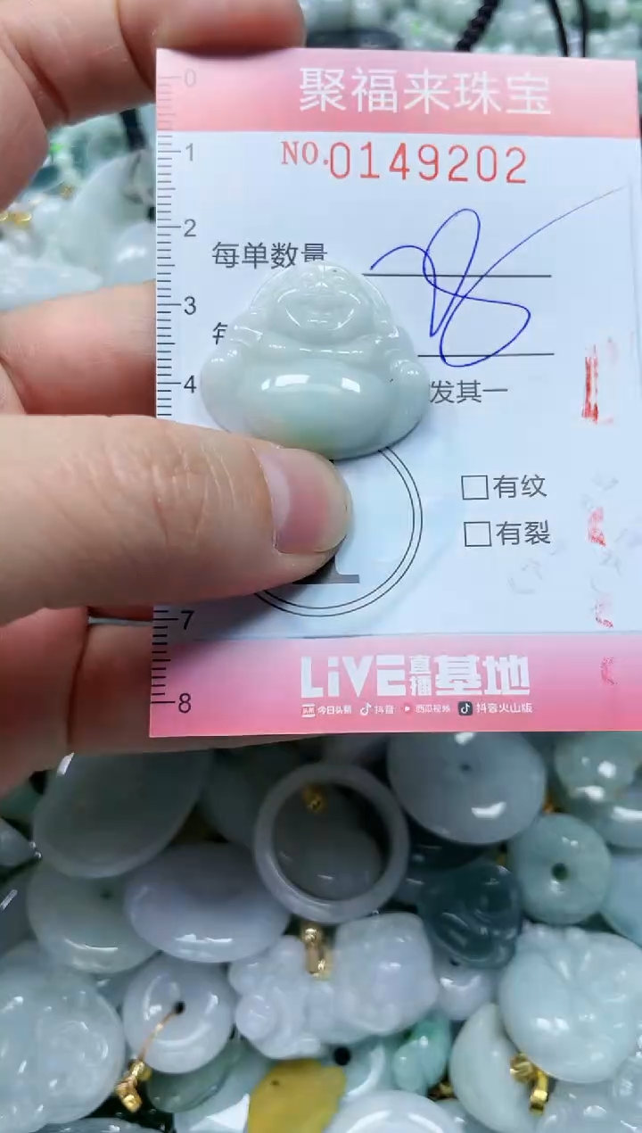 翡翠未镶嵌颈饰闪购0149202