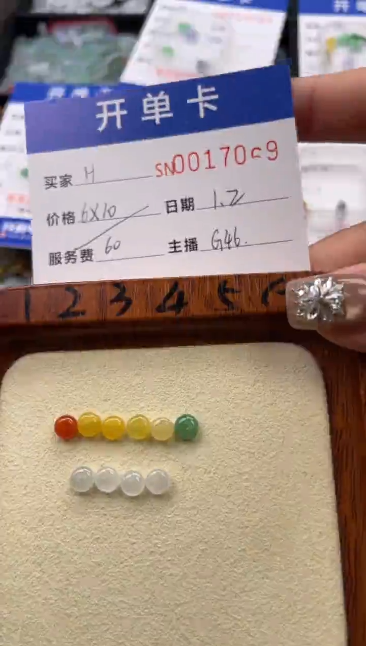 颈饰未镶嵌翡翠H***?17069