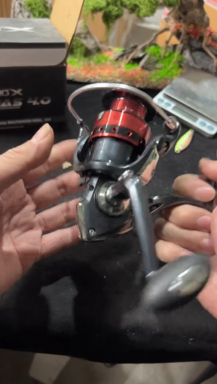 拍28路亚轮饵 路亚装备