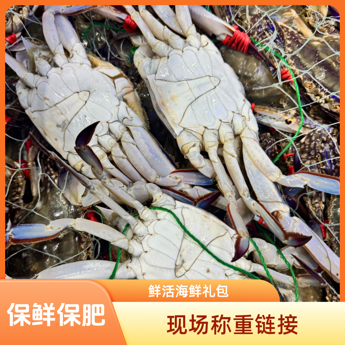 鲜活 海鲜大礼包 现场拼搭 保鲜保肥 不保活