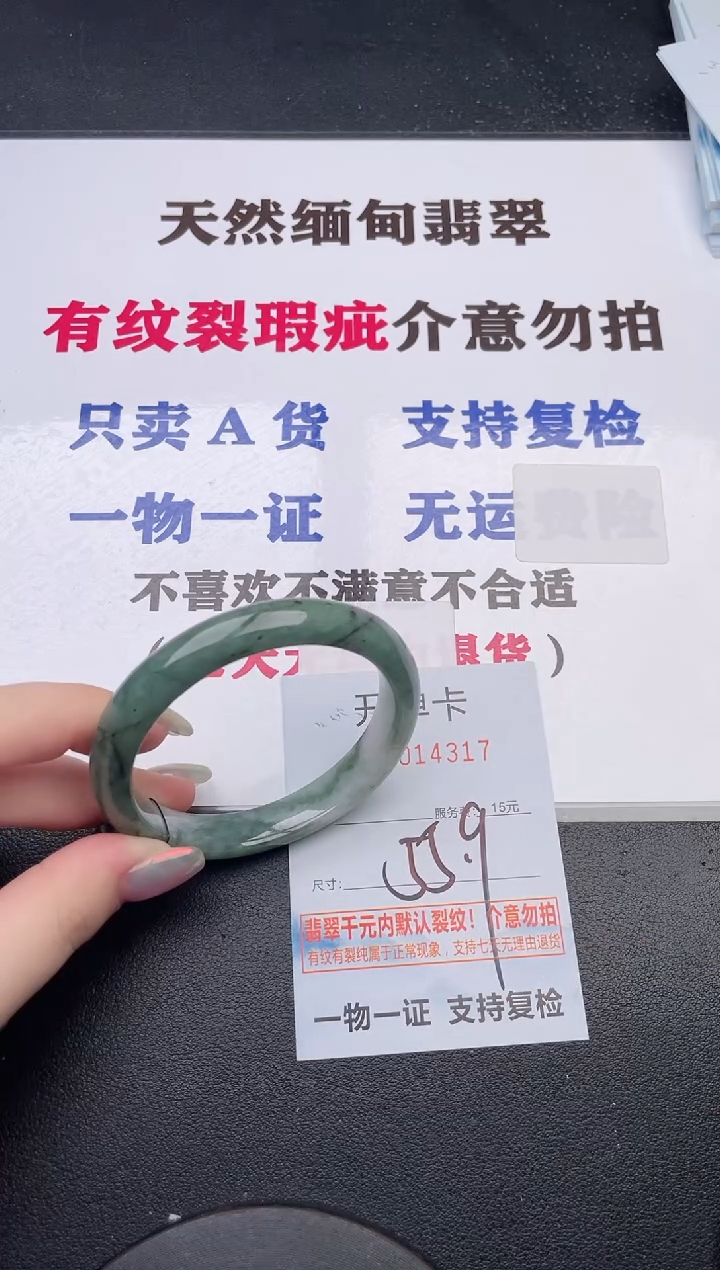 未镶嵌手镯翡翠17