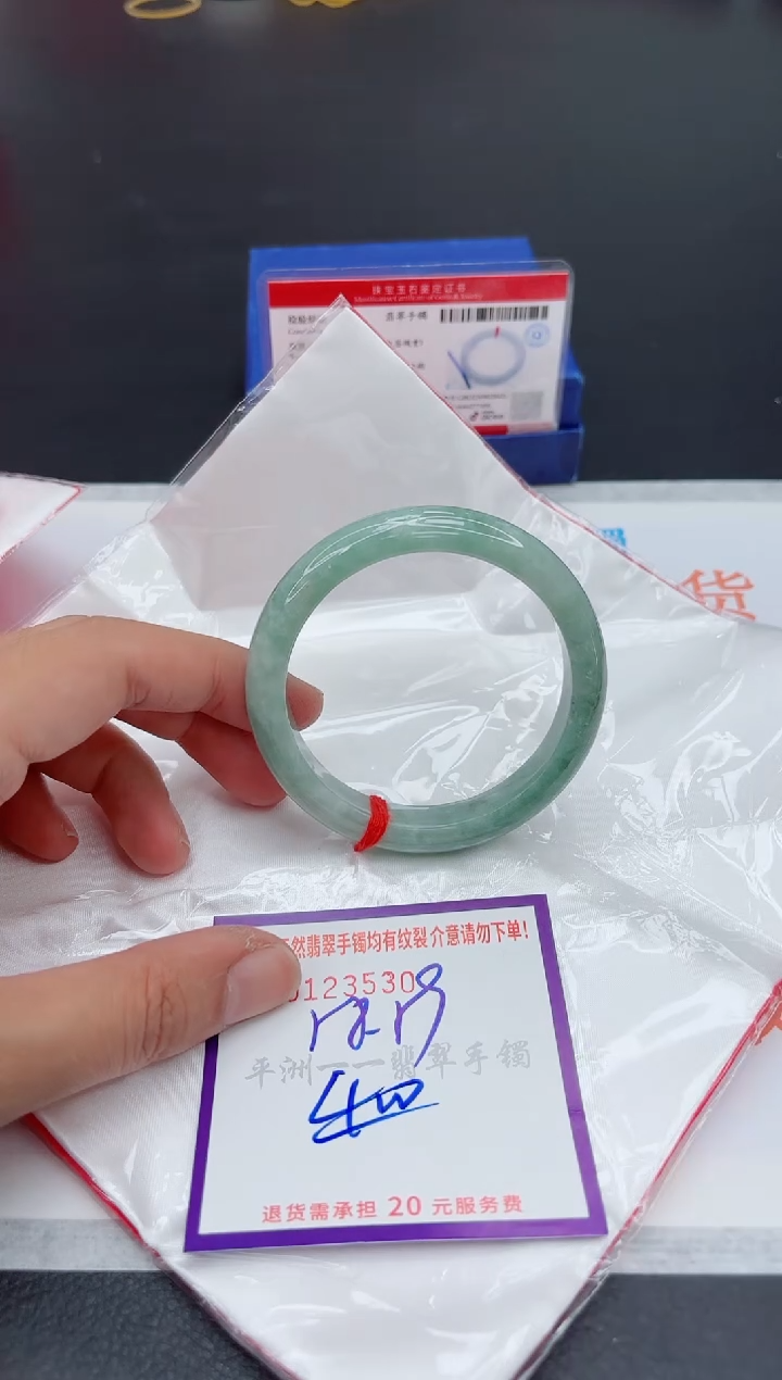 未镶嵌手镯翡翠1