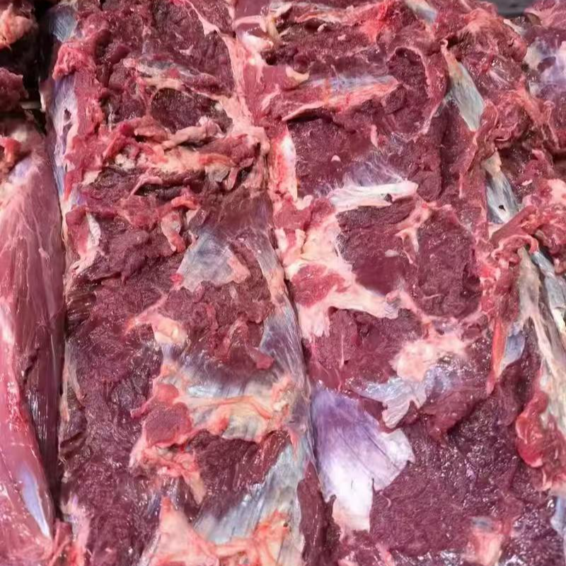 内蒙锡林郭勒盟黄膘牛吊龙